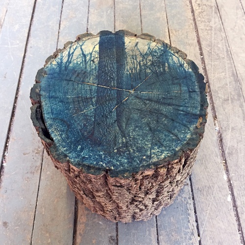 cyanotype, cyanotype on wood, emerald ash borer, artists respond to emerald ash borer, schuylkill center for environmental science, single tree on ash wood