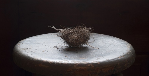 Wagner Nest on Chair; Laurie Beck Peterson