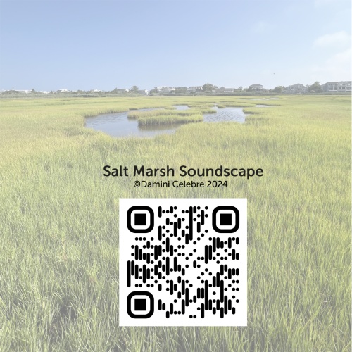 soundscape