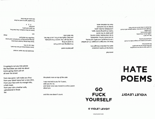 love poems /  sɯǝod ǝʇɐɥ by Violet LeVoit