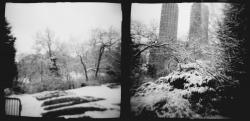Central Park silver gelatin print copyright Mira Gohel