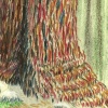 Tree, colored pencil, artist book